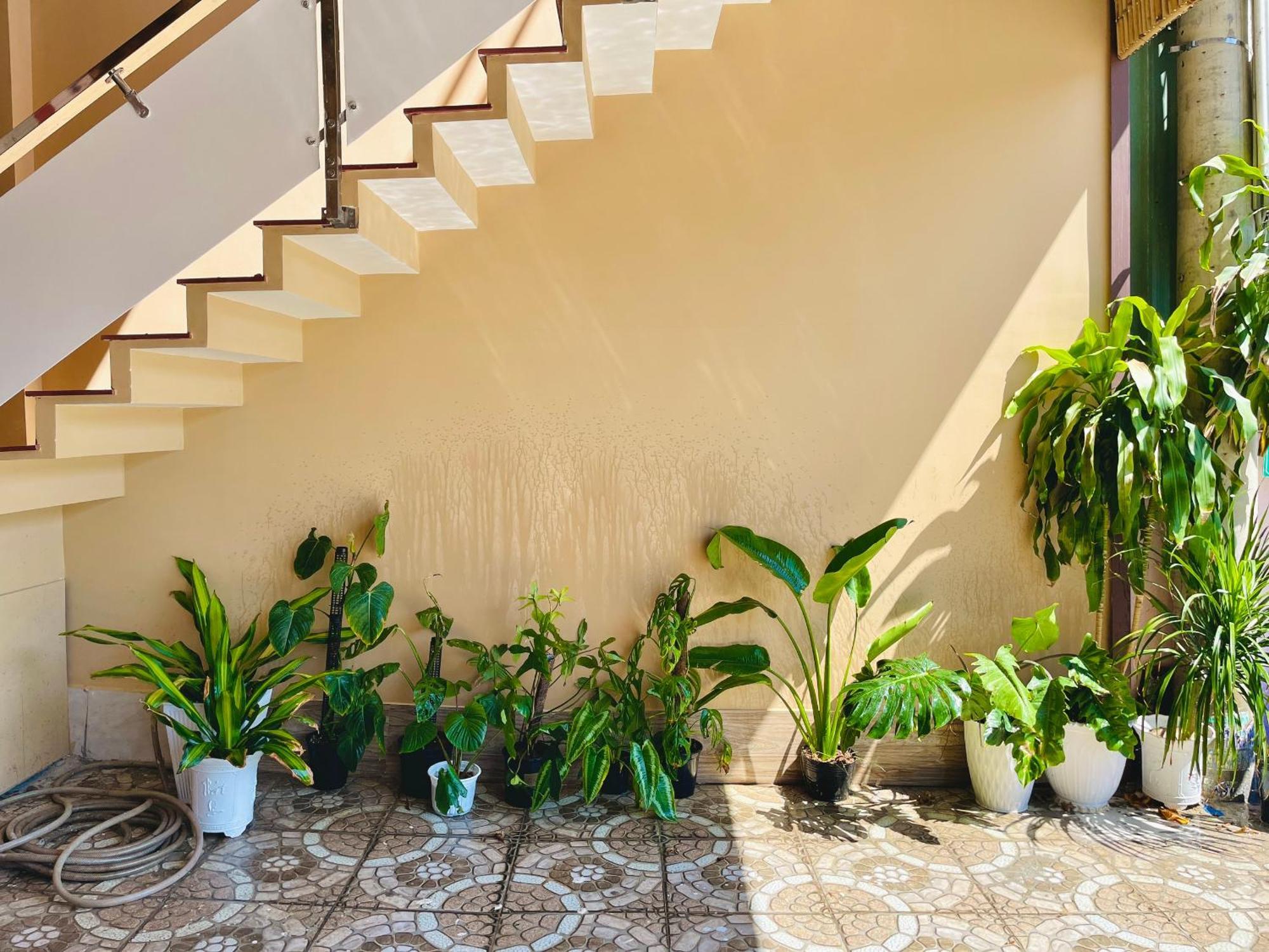T'H Homestay Mui Ne Dış mekan fotoğraf
